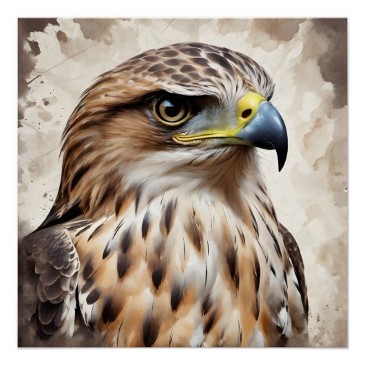 Hawk no 2 Glanzend Poster (Voorkant)