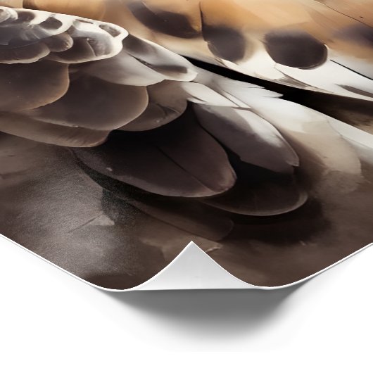 Hawk no 2 Glanzend Poster (Hoek)