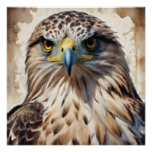 Hawk no 3 Glanzend Poster (Voorkant)