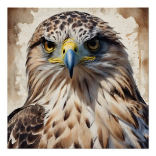 Hawk no 3 Glanzend Poster