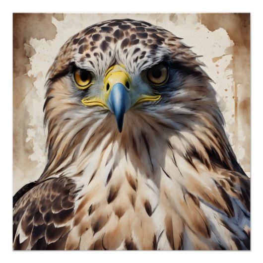 Hawk no 3 Glanzend Poster (Voorkant)