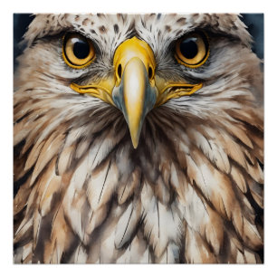 Hawk no 5 Glanzend Poster