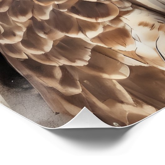 Hawk no 6 Glanzend Poster (Hoek)