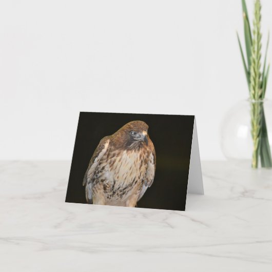 Hawk Notecard Kaart (Voorkant)