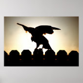 Hawk on Fence Poster (Voorkant)
