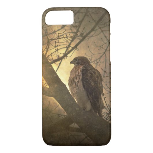 hawk op boomtak Case-Mate iPhone case (Achterkant)