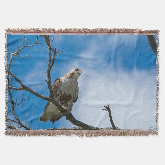 Hawk op de tunterbank deken (Voorkant)