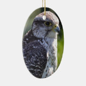 Hawk Ornament (Rechts)