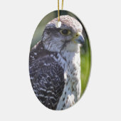 Hawk Ornament (Links)