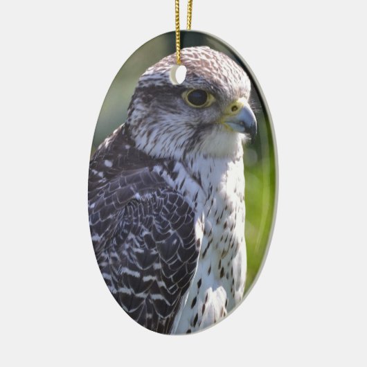 Hawk Ornament (Links)