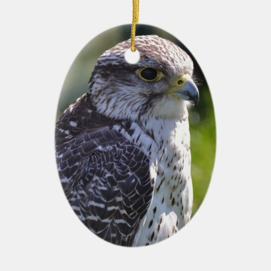 Hawk Ornament (Voorkant)