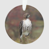 Hawk Ornament (voorkant)