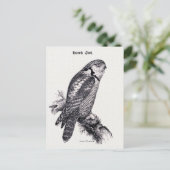 Hawk Owl  Bird Illustratie Briefkaart (Staand voorkant)