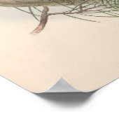  Hawk Owl Bird Poster (Hoek)