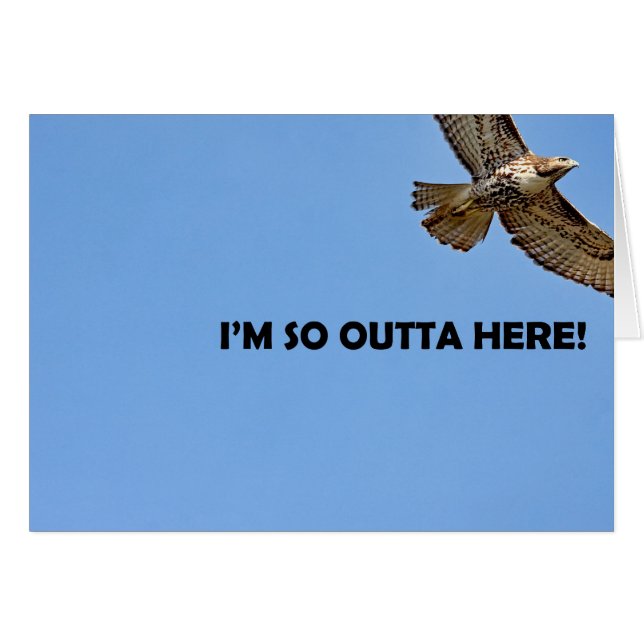 Hawk Photo (Voorkant Horizontaal)