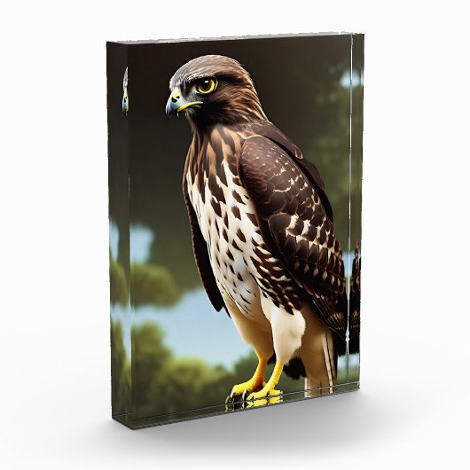 hawk Photo Block art Fotoblokken (Links)