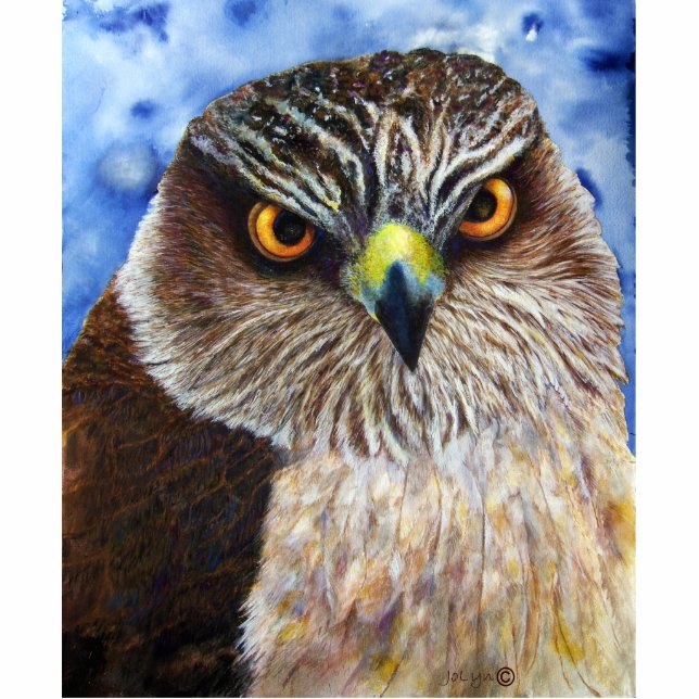 Hawk Photo Sculpture Staand Fotobeeldje (Voorkant)