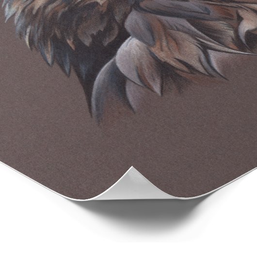 Hawk Poster (Hoek)