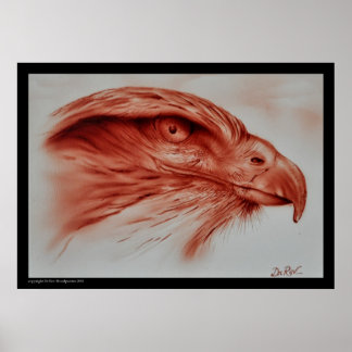 Hawk Poster