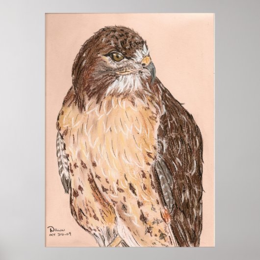 Hawk Poster (Voorkant)