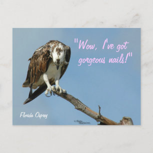 Hawk prachtige nagels Briefkaart