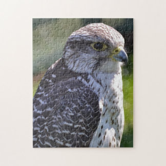 Hawk Puzzle/Jigzaag Legpuzzel