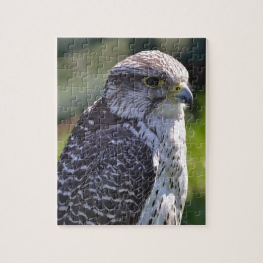 Hawk Puzzle/Jigzaag met tin Legpuzzel (Verticaal)