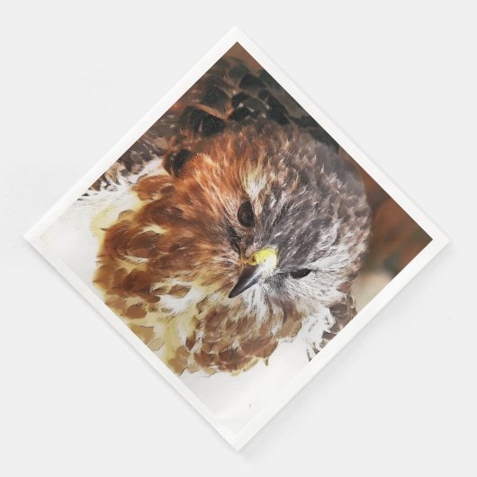HAWK SERVET (Hoek)