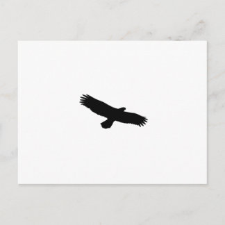 Hawk Silhouette Briefkaart