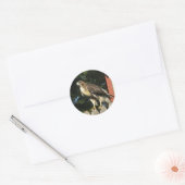 Hawk Stickers (Envelop)