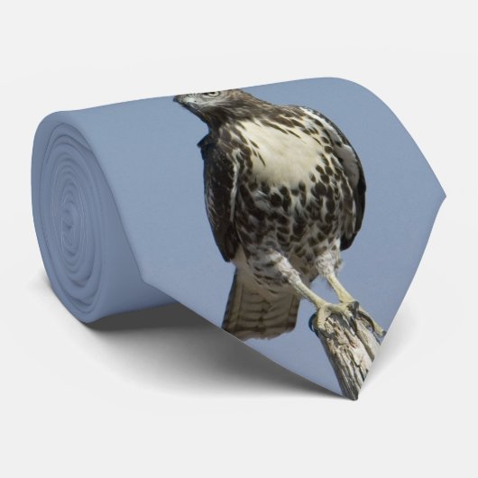 Hawk Stropdas (Opgerold)