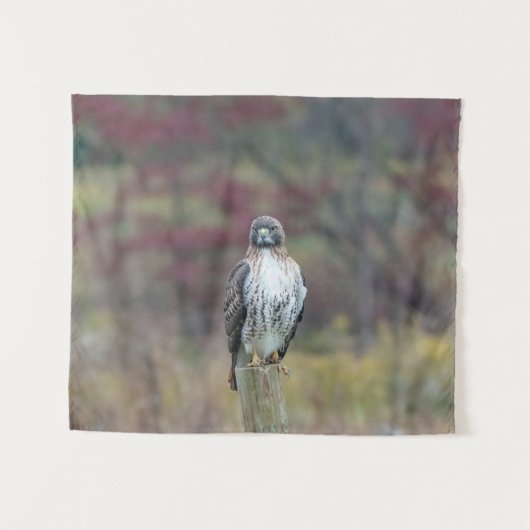 Hawk Tapestry Wandkleed (Voorkant (horizontaal))