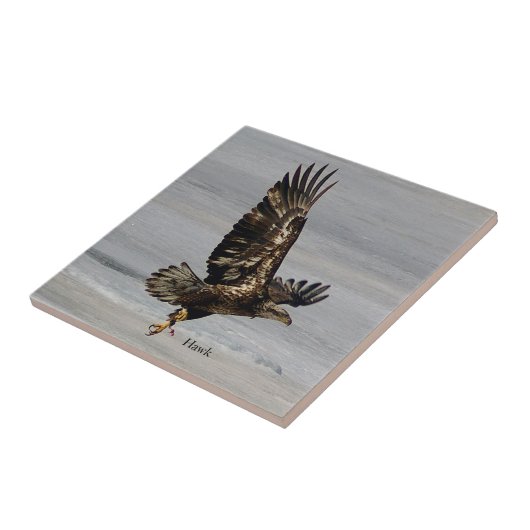 Hawk tegel tegeltje (Zijkant)