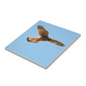 Hawk Tegeltje (Zijkant)