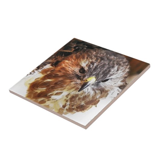 HAWK TEGELTJE (Zijkant)