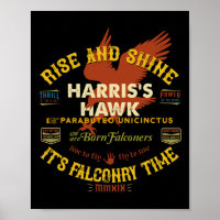 Hawk Valkerij Ontwerp Harris Hawk Valkerij Leverin