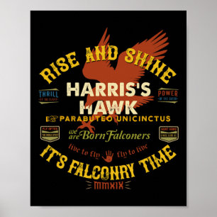 Hawk Valkerij Ontwerp Harris Hawk Valkerij Leverin Poster