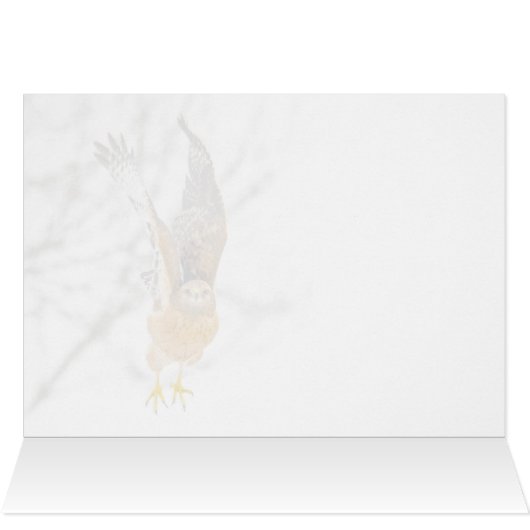 Hawk vliegt (Binnen Horizontaal (Boven))