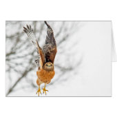 Hawk vliegt (Voorkant Horizontaal)