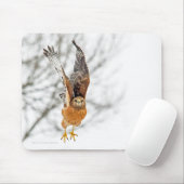 Hawk vliegt muismat (Met muis)