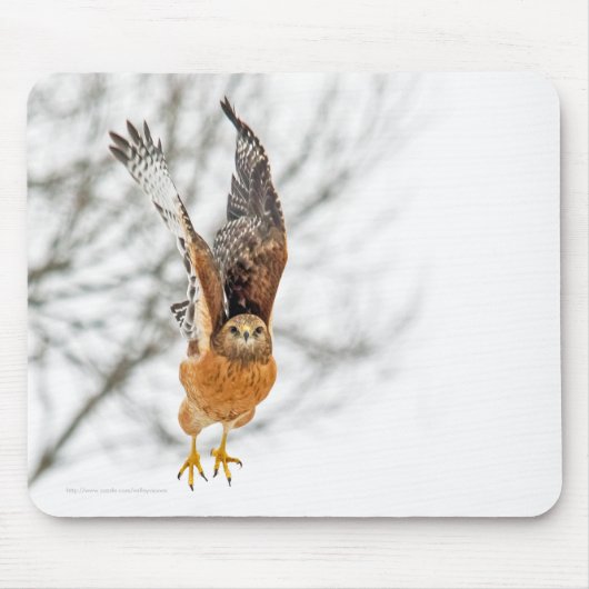 Hawk vliegt muismat (Voorkant)