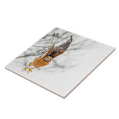 Hawk vliegt tegeltje (Zijkant)