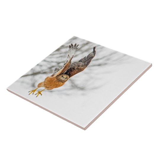 Hawk vliegt tegeltje (Zijkant)