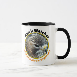 Hawk Watcher Ezra Foto Mok
