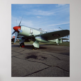 Hawker Sea Fury bij CAF, Minnesota Wing, op de 2 Poster