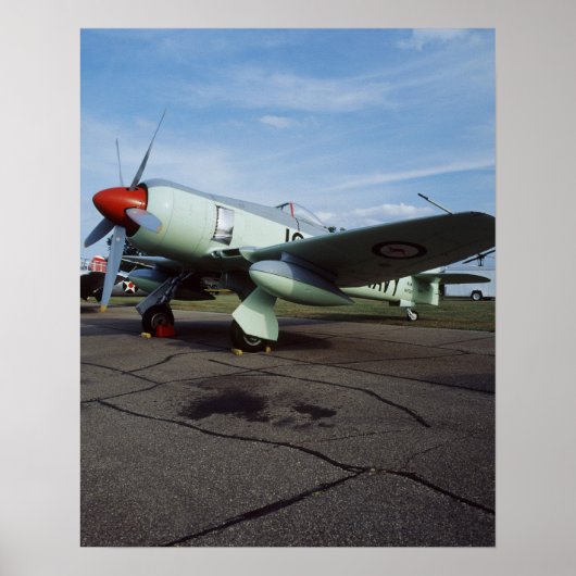 Hawker Sea Fury bij CAF, Minnesota Wing, op de 2 Poster (Voorkant)