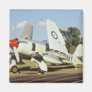 Hawker Sea Fury bij CAF, Minnesota Wing, op de Magneet