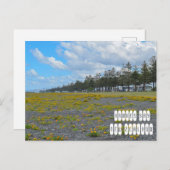 Hawkes Bay in Nieuw-Zeeland Briefkaart (Voorkant / Achterkant)