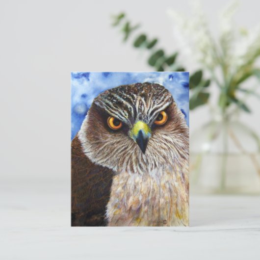 Hawkeyes Briefkaart (Staand voorkant)