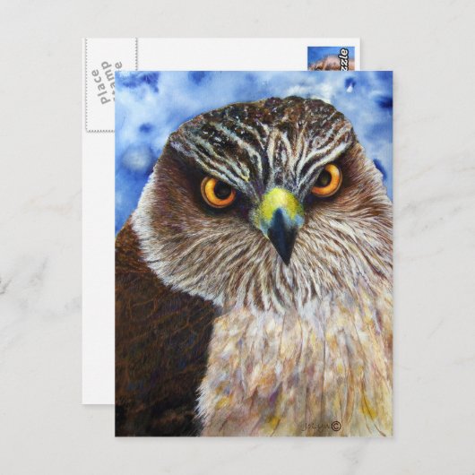 Hawkeyes Briefkaart (Voorkant / Achterkant)